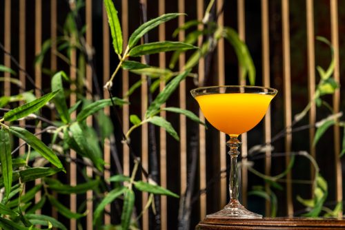 1924 Coupe koktélpohár 240 ml